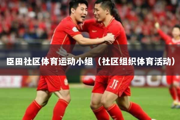 臣田社区体育运动小组(社区组织体育活动)