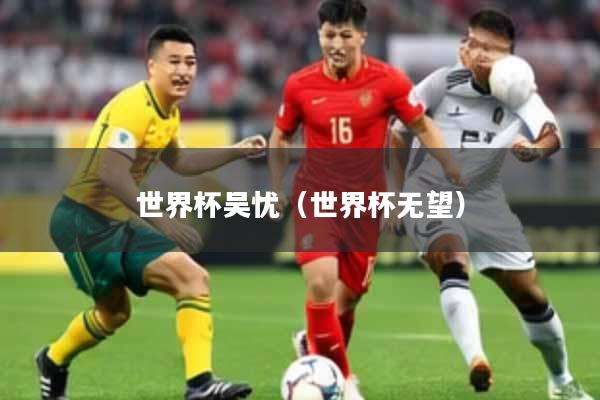 世界杯吴忧(世界杯无望)