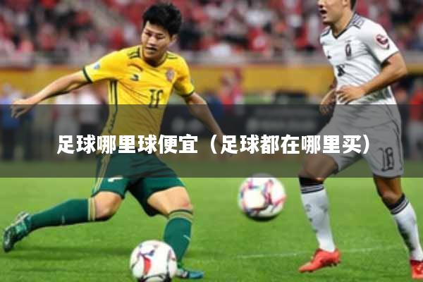 足球哪里球便宜(足球都在哪里买)